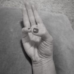 buddhi mudra