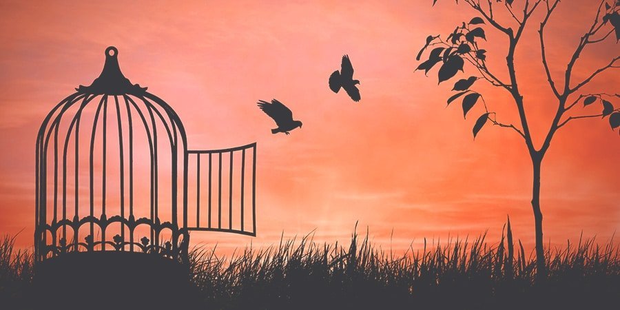 freedom