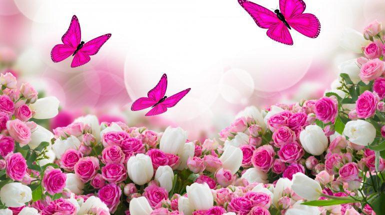 love butterflies