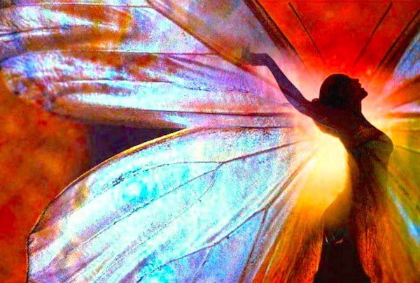 spread your wings