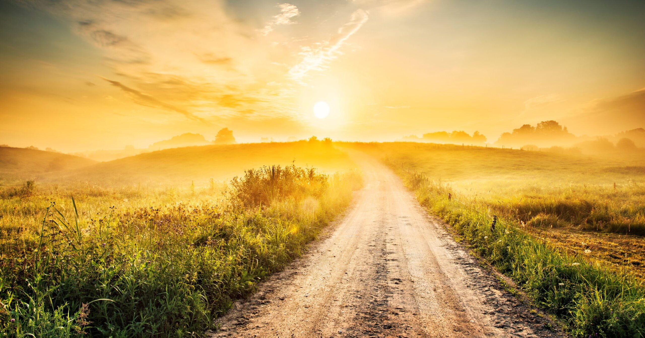 sunny road
