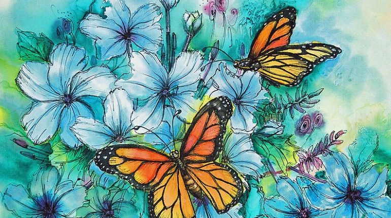 butterlies