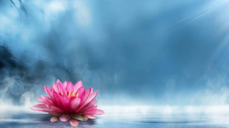 soul lotus - maria