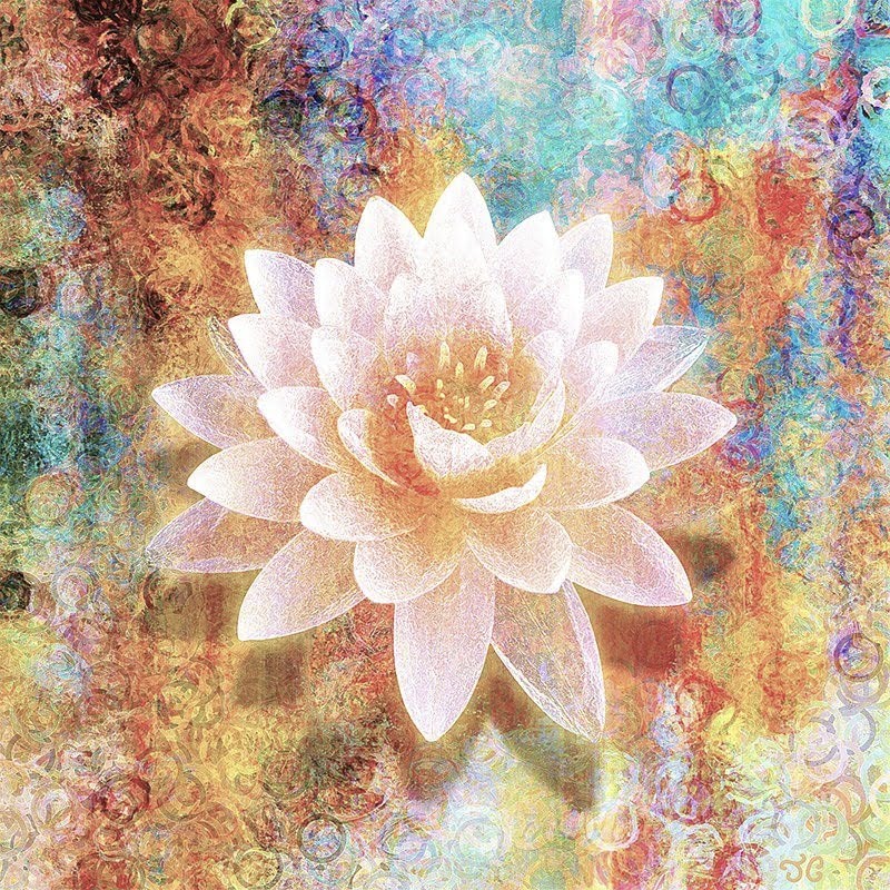 lotus