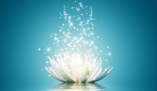 soul lotus - mariao