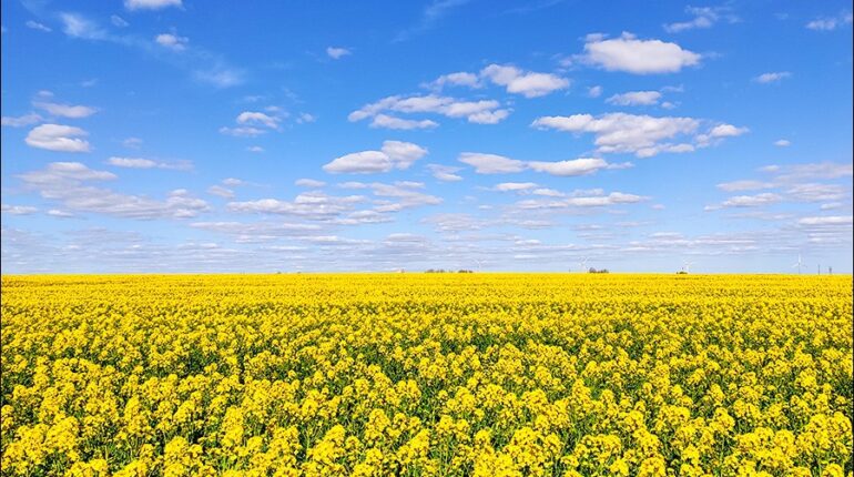 skåne