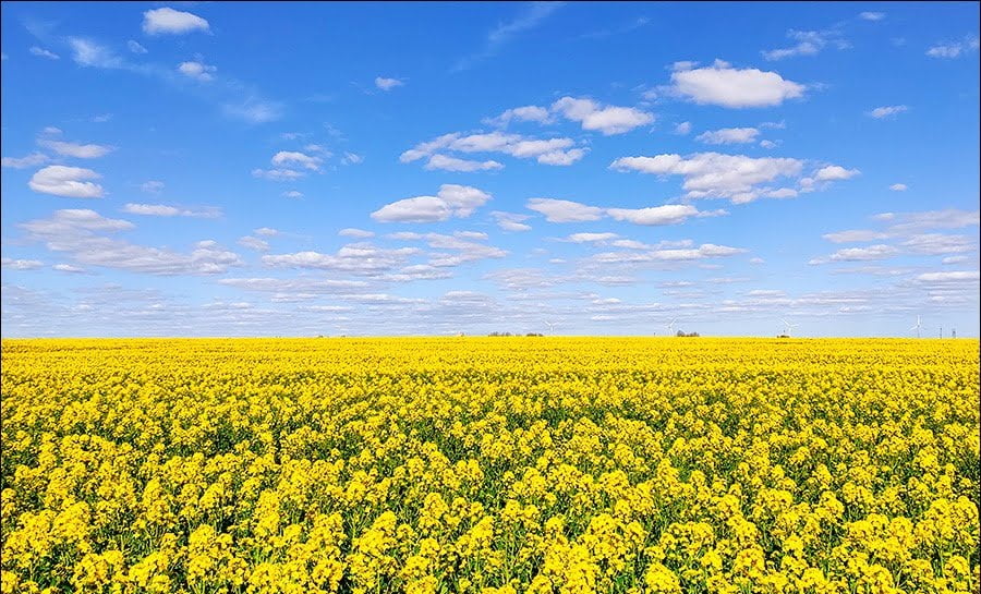 skåne
