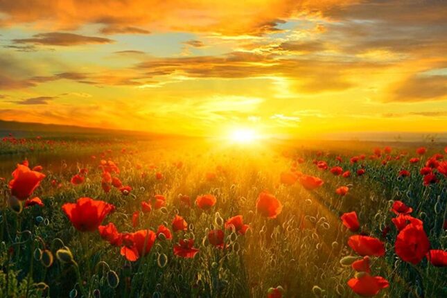 a new day