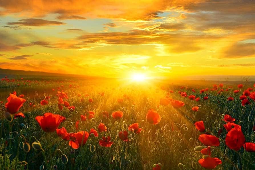 a new day