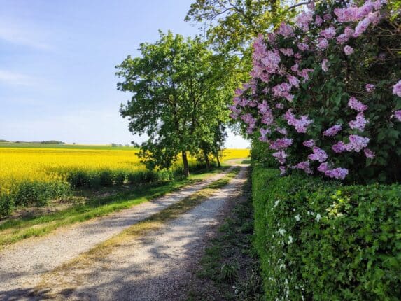 vägledning
