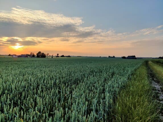 sunset vägledning