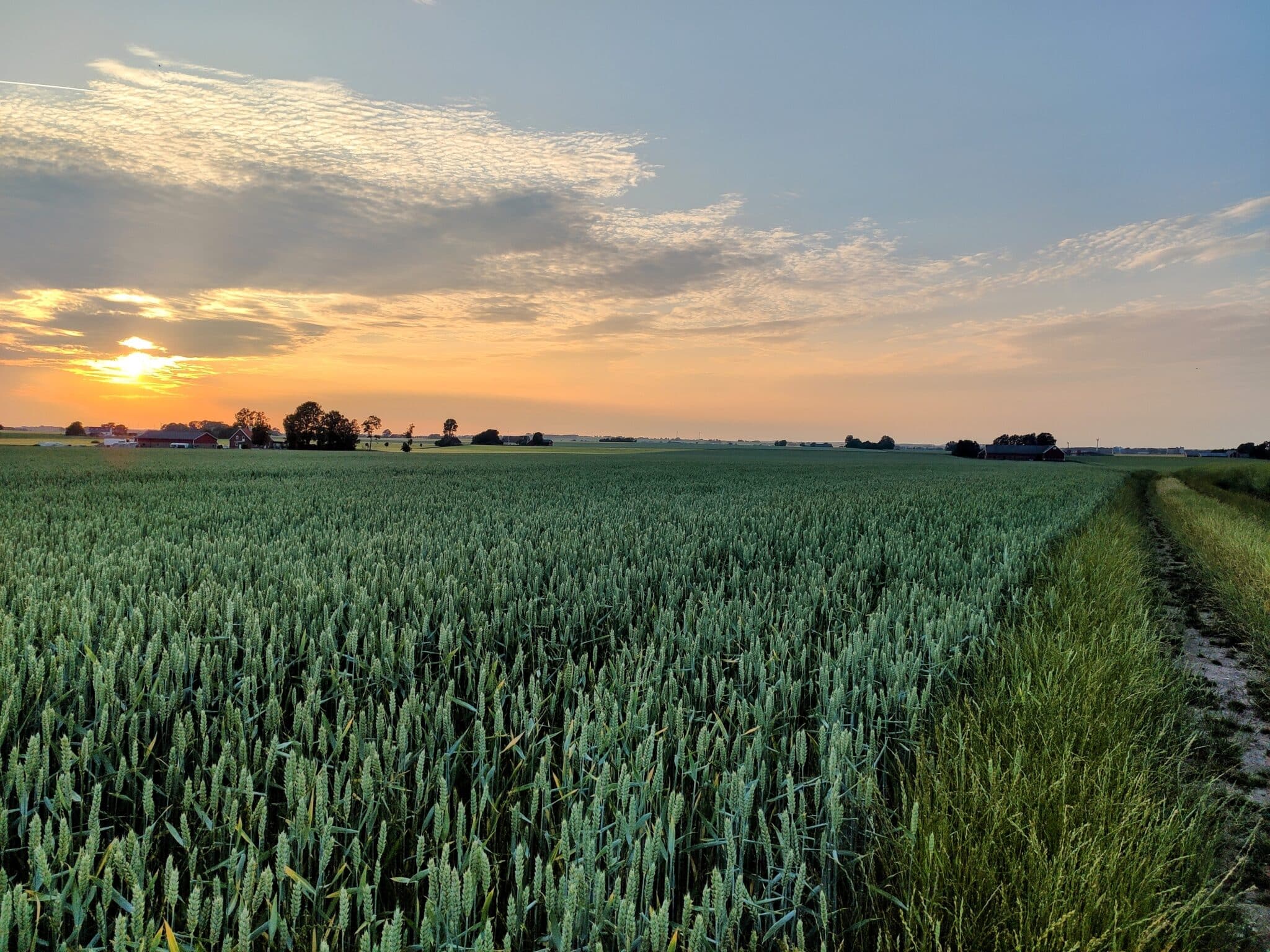 sunset vägledning