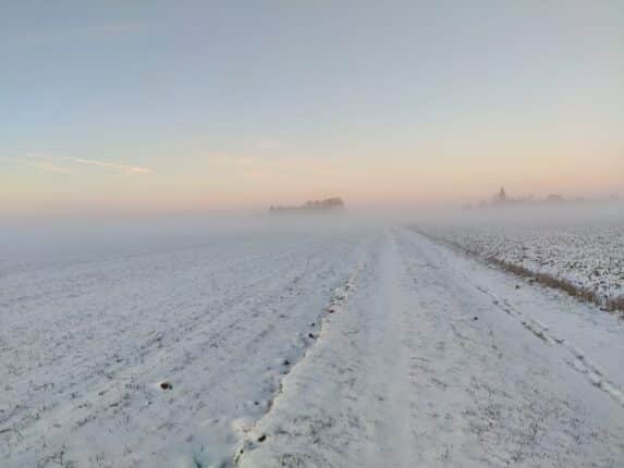 winter